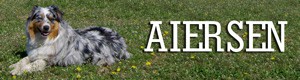 aiersen.jpg